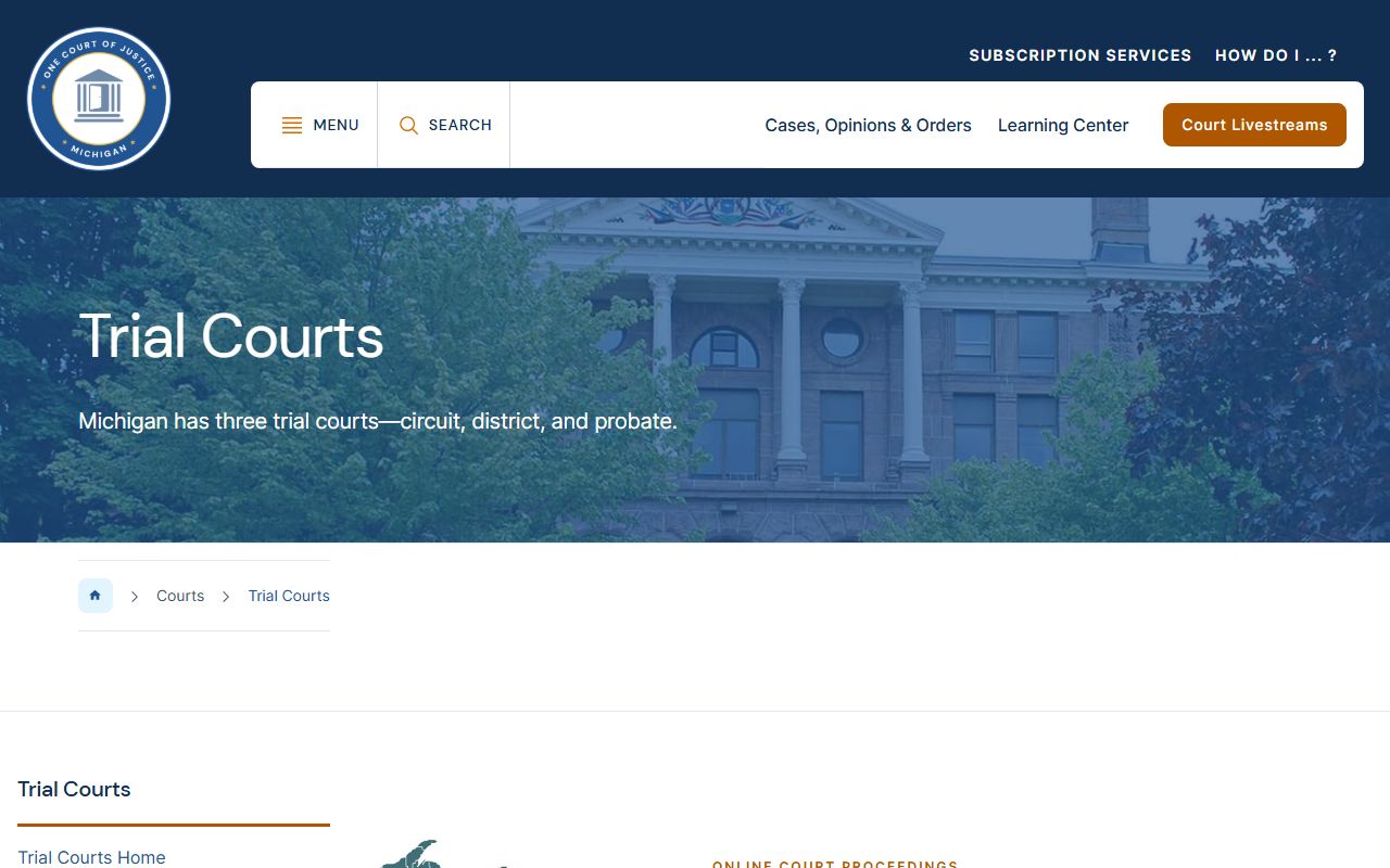 Luce County judicial system and Michigan trial court records overview